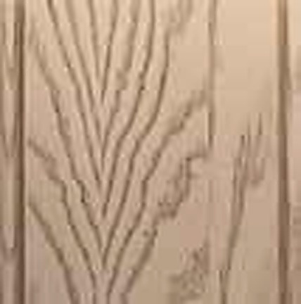 Clear Alder Bark