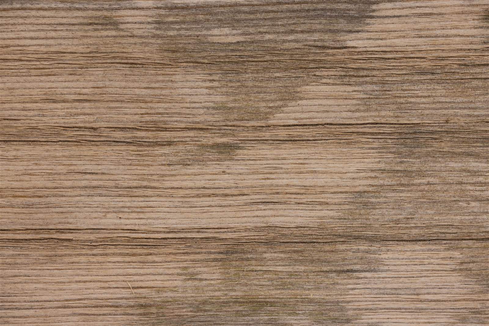 Close-up of water-stained, weathered wood grain showing moisture damage texture