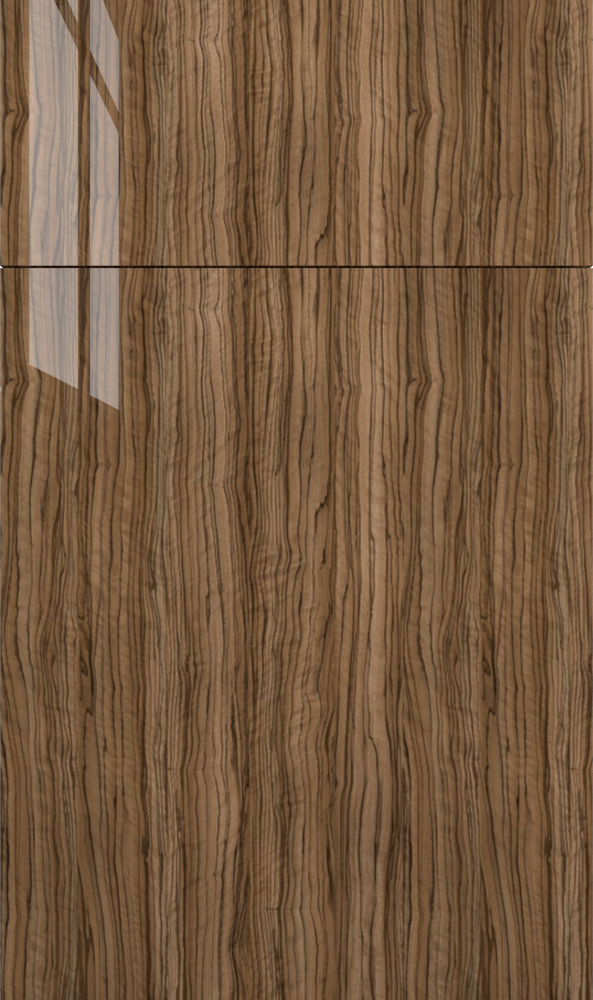 CATALINA OLIVIO GLOSS