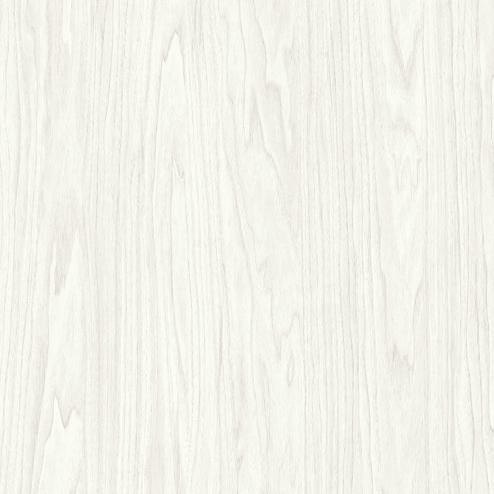 WINTER FUN White
