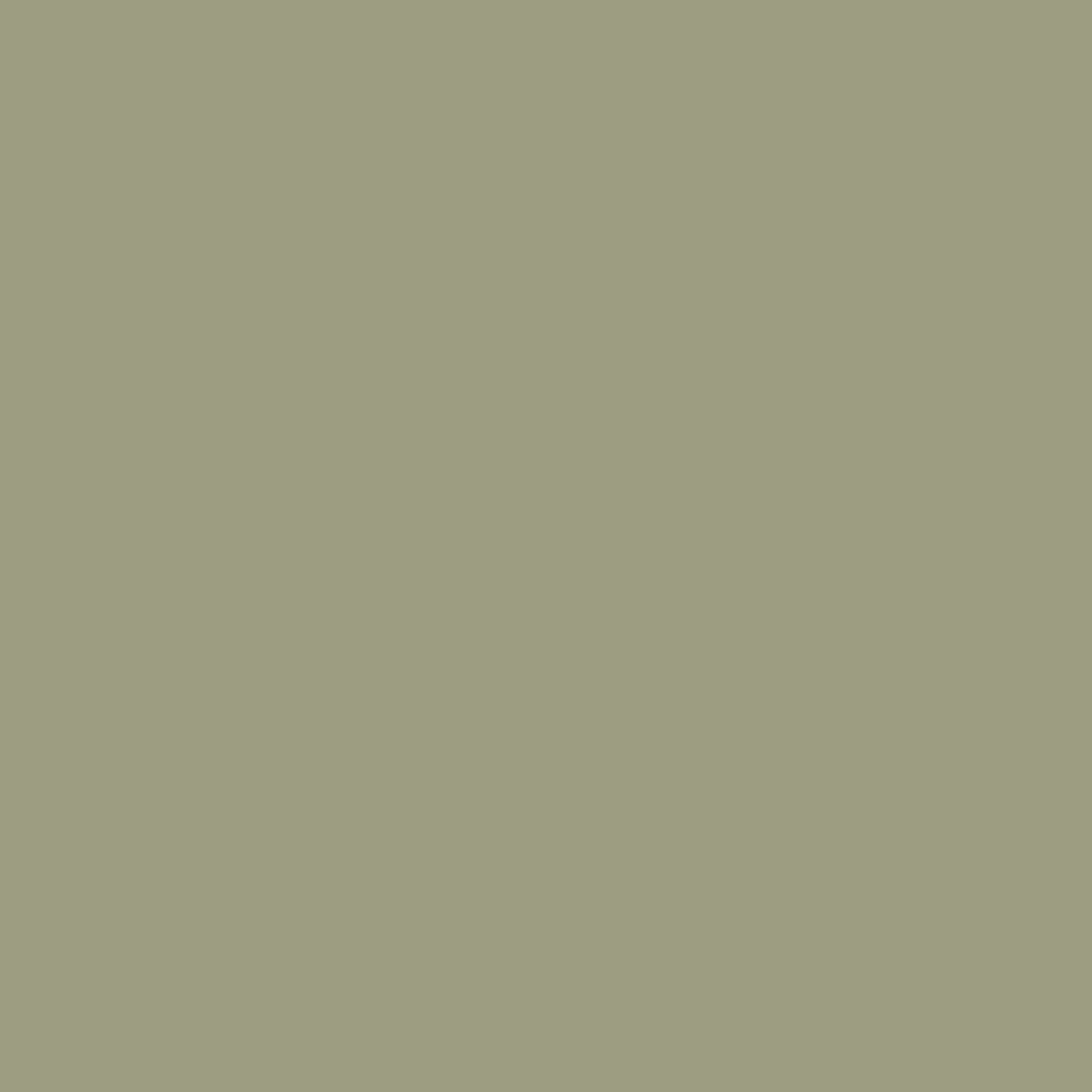 SAGE LEAF Green