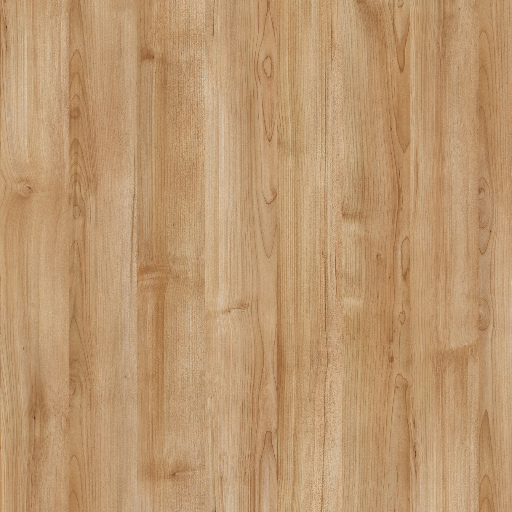 TOFINO Light Brown