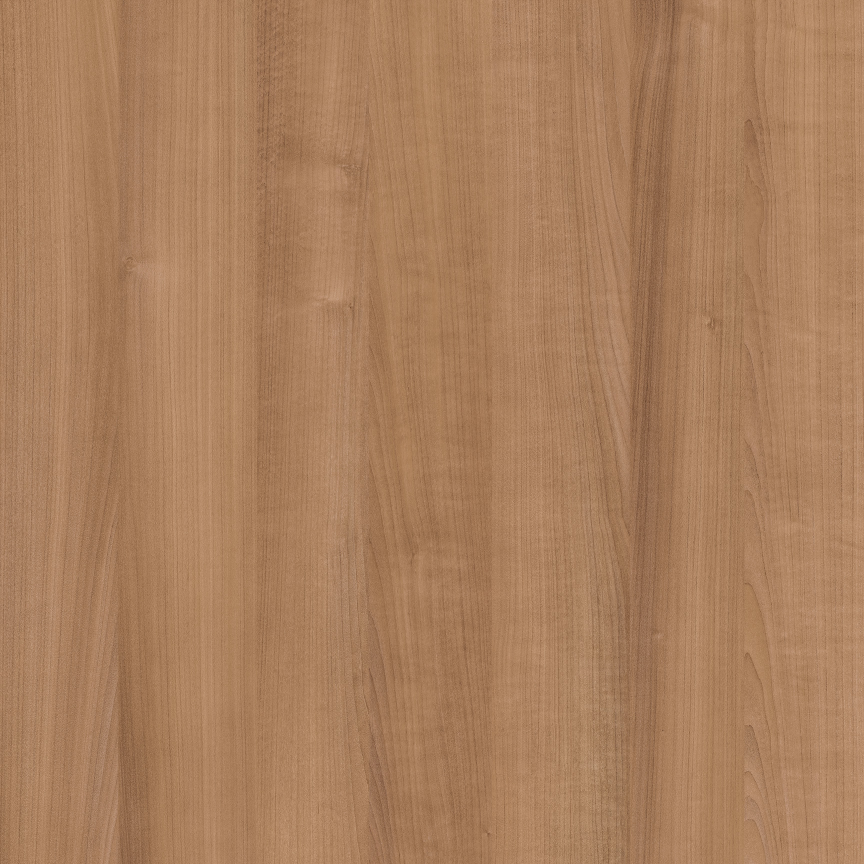 DOLCE VITA Mid Brown