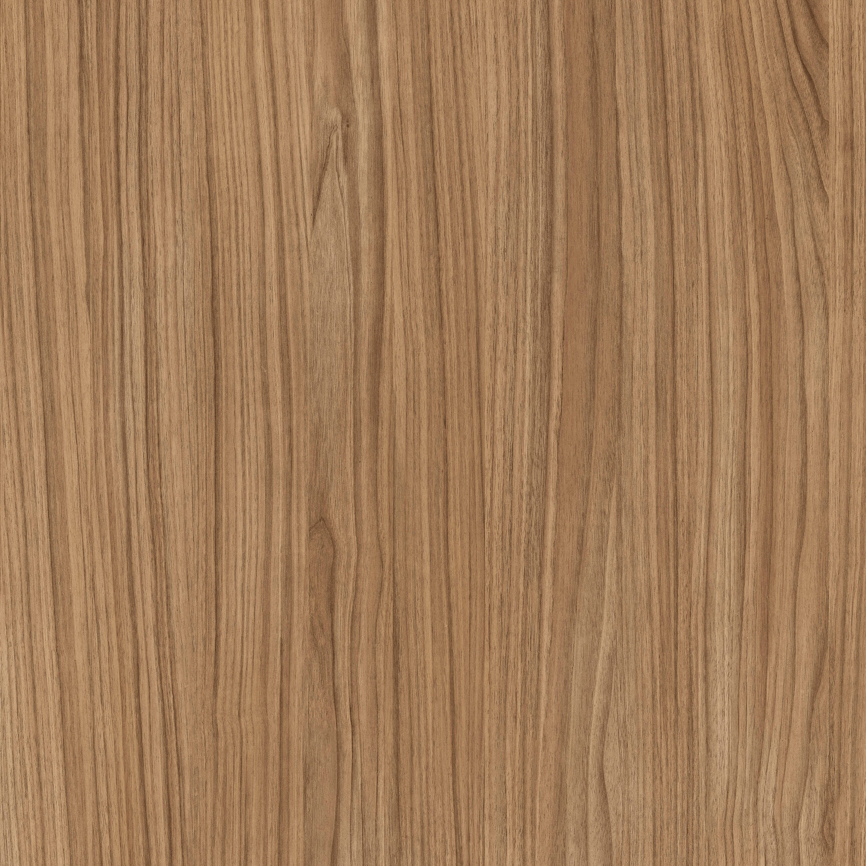 NUTMEG Mid Brown