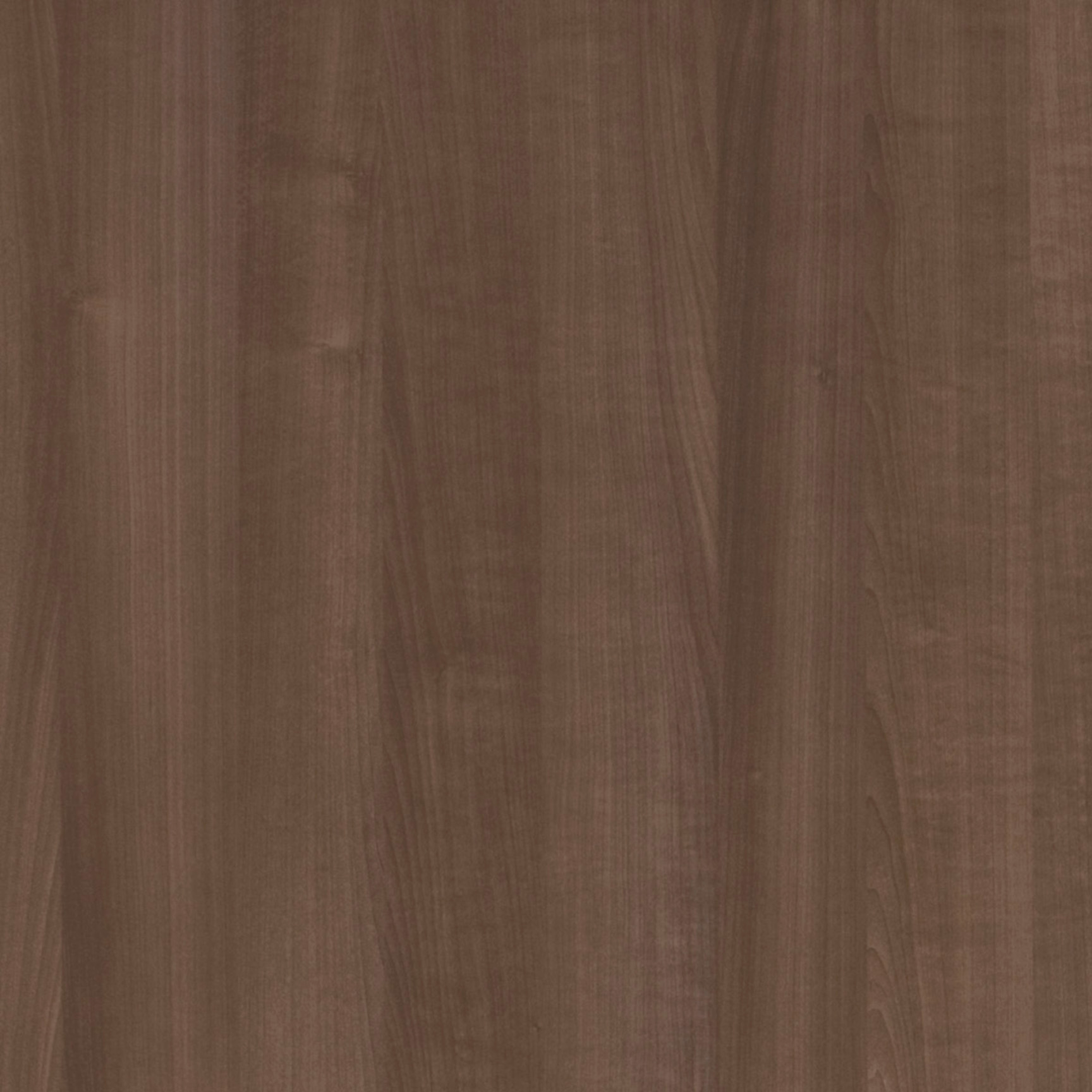 ANTIGUA Mid Brown
