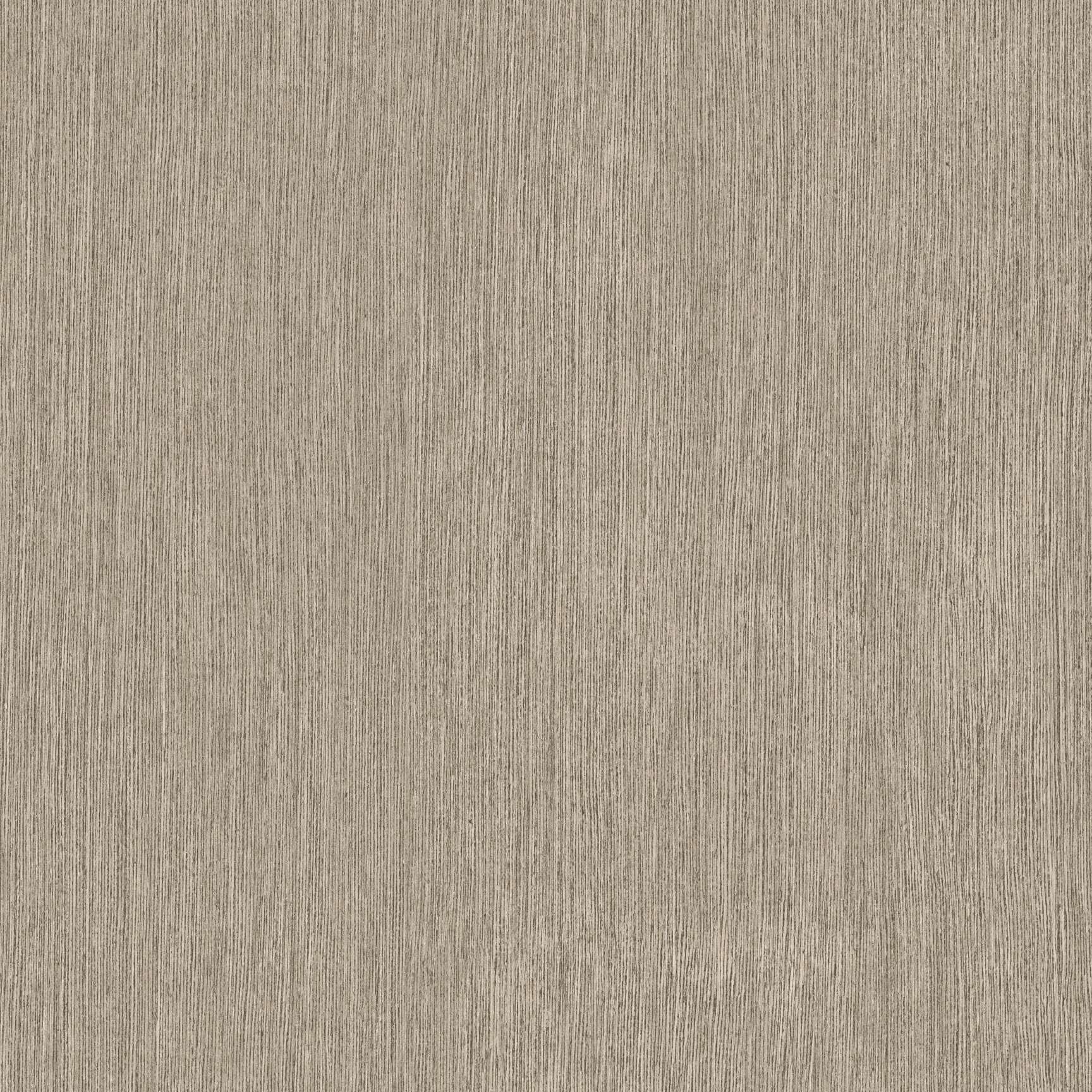 LATITUDE EAST Grey