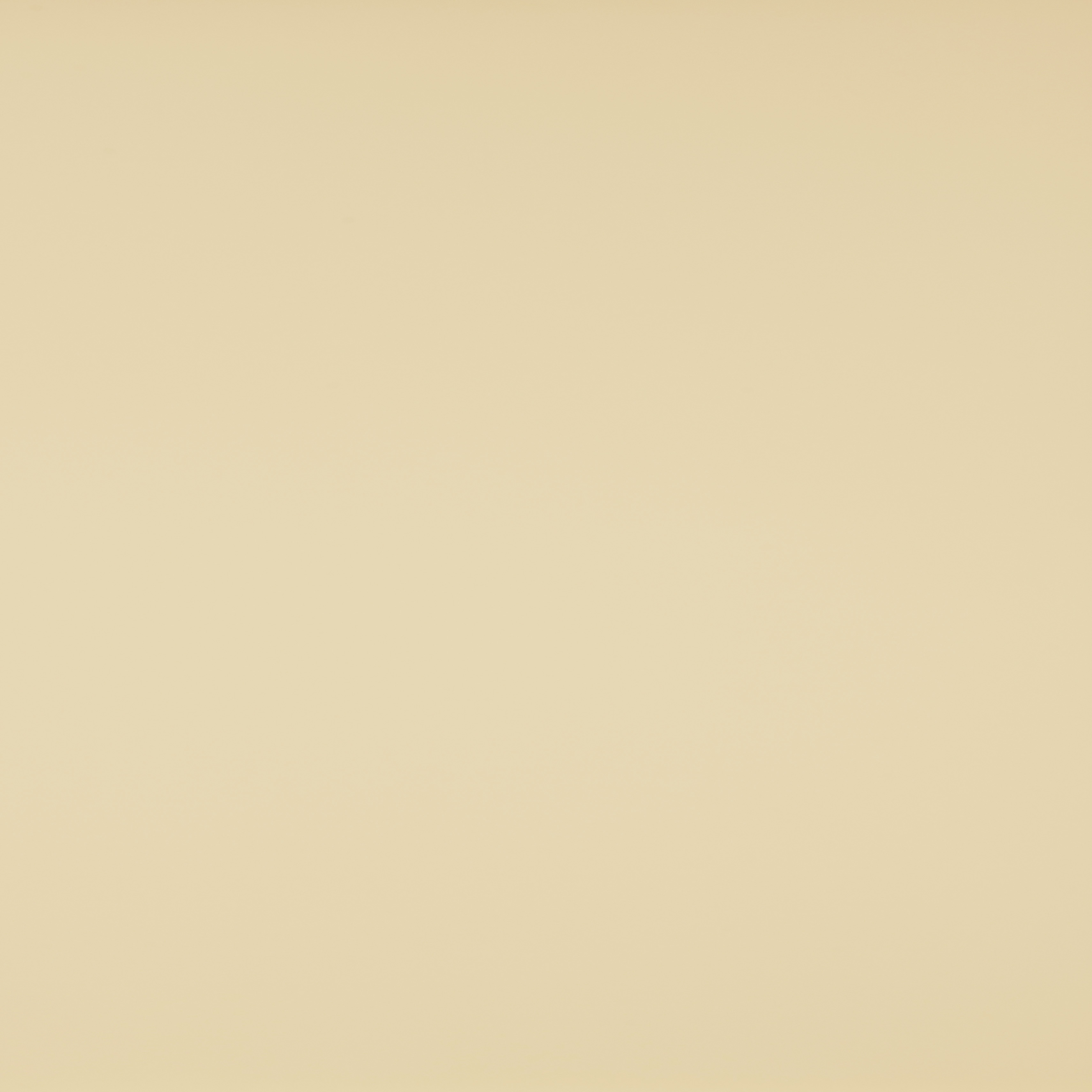 IVORY Beige
