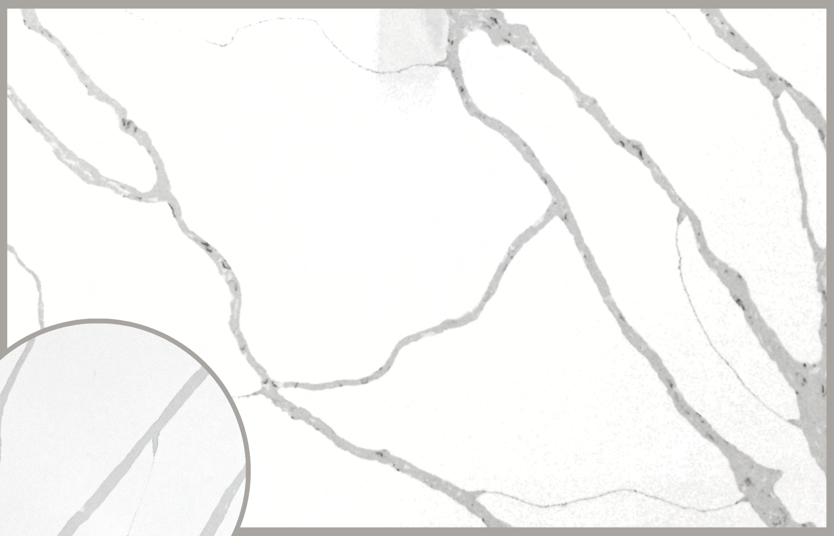 Calacatta Divine Quartz