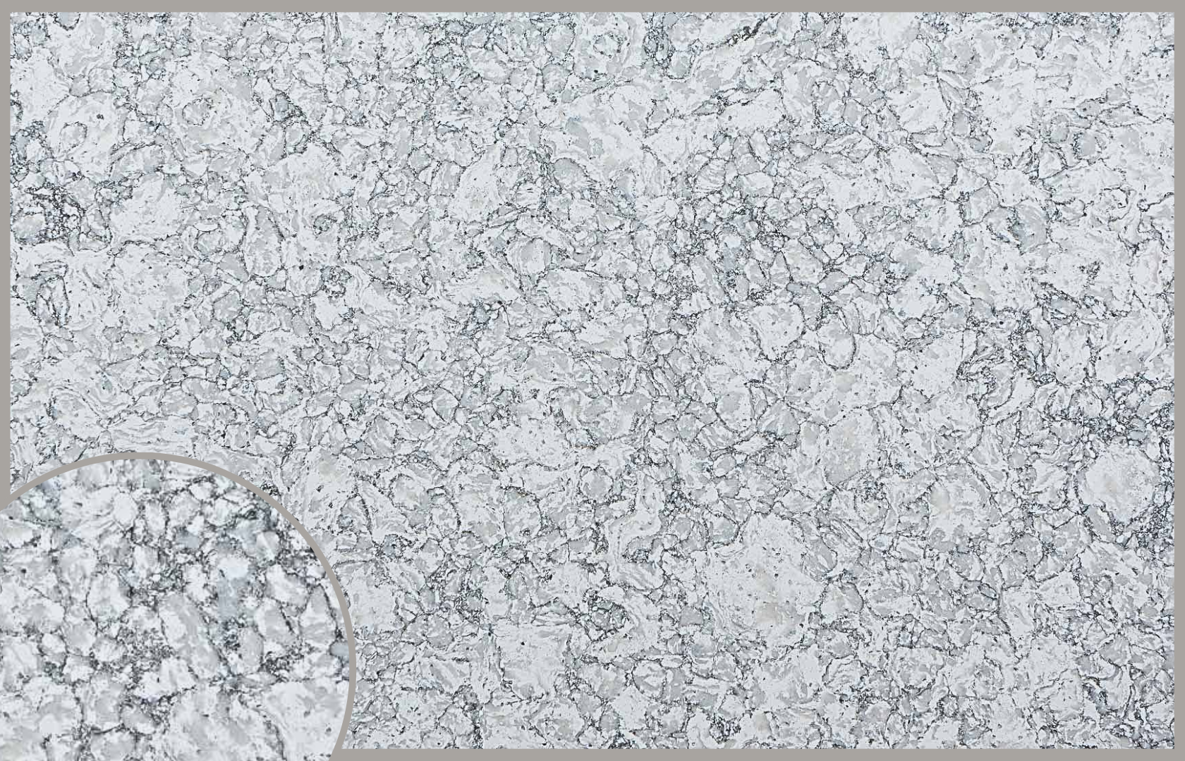 Darwin Quartz